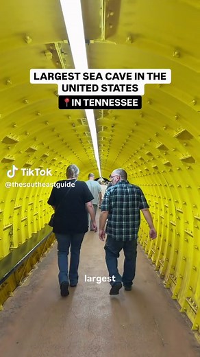 Explore America's Largest Underground Lake at The Lost Sea
