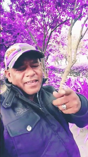 Main Kahin Kavi Na Ban Jaoon | Pyar Hi Pyar 1969 | Mohd. Rafi | Dharmendra | Vyjayanthimala