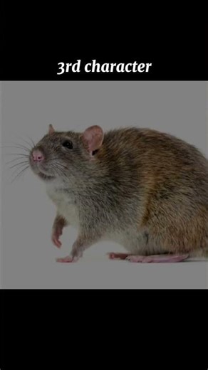 guess the rdr2 character #rdr2