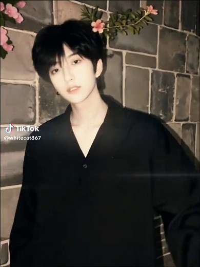 Discovering Unique White Cat Breeds: Insights and Care Tips