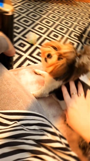 Прелесть какая 😇😇🥰