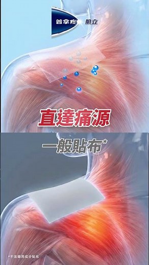 Panadol Muscle Relief Daily Pain Edition 6s