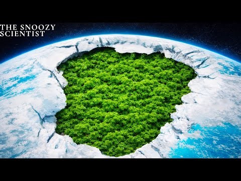 When A Tiny Plant Triggered An Ice Age The Azolla Event