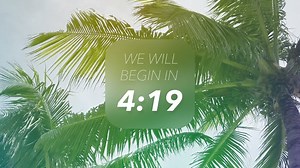 Five Minute Countdown - Palm Trees - Church Media Drop
