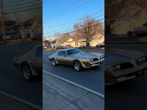 Trans Am gets squirrelly!🐿️