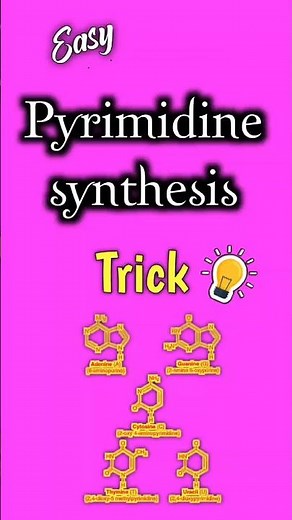 Easy Pyrimidine synthesis trick #biochemistry #medicalmnemonics #biologytricks #shortsfeed
