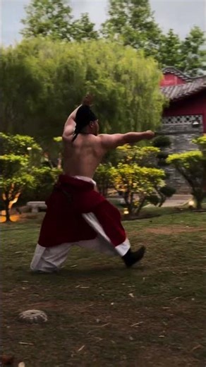 Korean Military Strategies: Left, Silver Python, Flip Strike Poses Unveiled