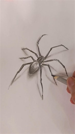 drawing realistic black widow spider #art #drawing #pencildrawing #phonk #spider #spiderman