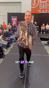 🐾 This majestic Maine Coon strutted in like royalty and clawed its way to #3 in the show! 👑 With a tail that deserves its own zip code and enough fluff to start a pillow factory, it was pure magic 🫶 Not first? Still fabulous. 💅 #MaineCoon #catjudge #CatShow #LovingCatsWorldwide #lcww #cats | Steven Meserve