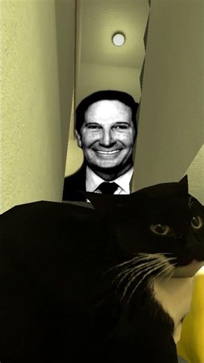 I have a cat, do you? #gaming #memebattles #rek #skibiditoilet #shorts #gmod #nextbots