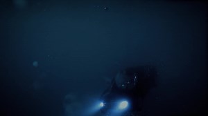Illuminate (2020)