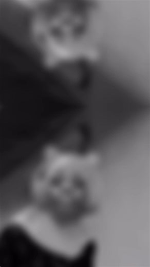 Big Flex Dance Challenge on TikTok