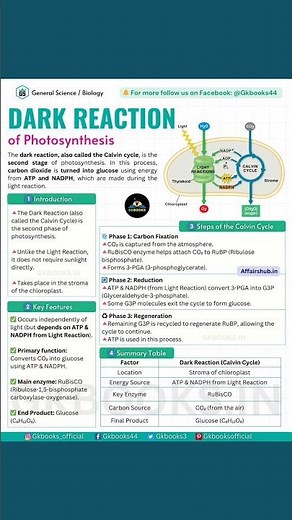Dark Reaction | Photosynthesis | Biology |