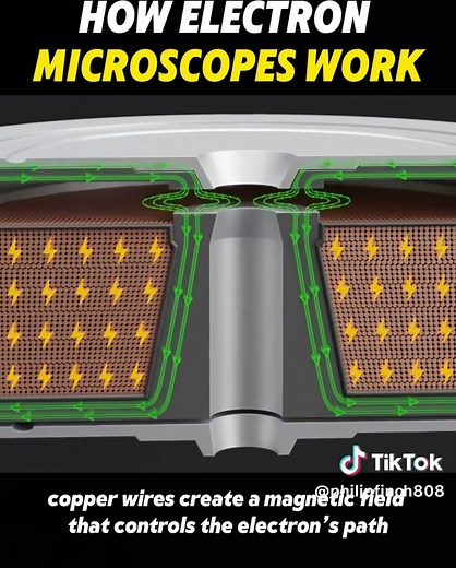 Understanding How Electron Microscopes Work