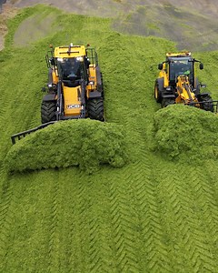 8K views · 348 reactions | Don’t let the grass grow under your feet. The #JCB TM420S telescopic wheeled loader working on the silage clamp. Discover more: fal.cn/3zwpe. | JCB Agriculture | Facebook