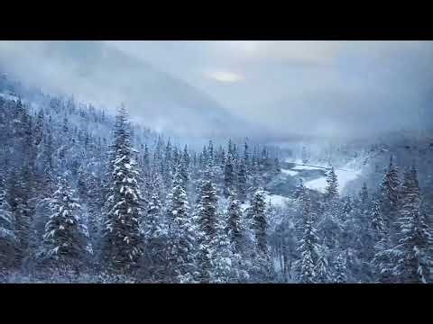 Winter Forest Snowfall [4K] | Ambient Music for Study, Work & Relaxation
