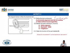 Life Sciences Grade 11