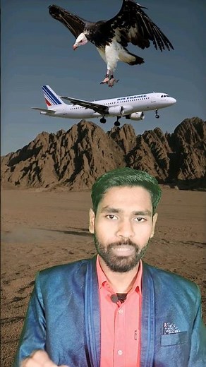 The highest flying bird of the world | Rupell's griffon vulture | Rambilas Sahni | #facts #shorts