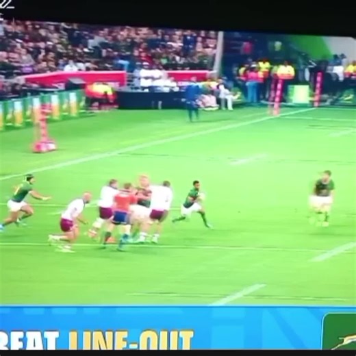Springboks Rugby Highlights Captured in Moments