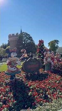 【ディズニー】ディズニークリスマス2025を総まとめ！#ディズニー#ディズニークリスマス#ディズニーランド#ディズニーシー