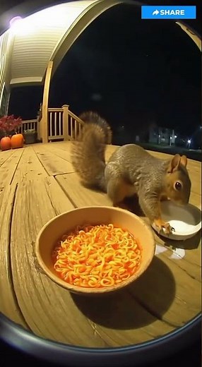 pov : your first time eating spicy noodles