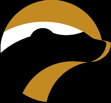 Tailings Retreatment | Pan African Resources
