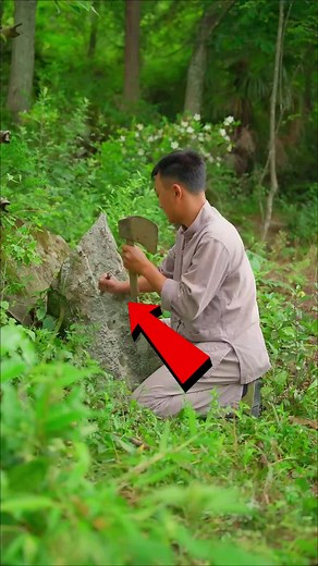 Fascinating Facts About Our Earth and Nature
