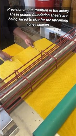 How Commercial Beekeepers Prepare Golden Wax Foundations for Hives