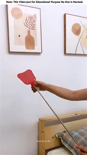 Amazing Way to Build Sister’s House 🤯✨