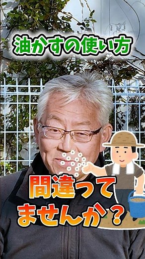 Oilseed meal for soil preparation in home gardens and farms for growing summer vegetables! Are yo...