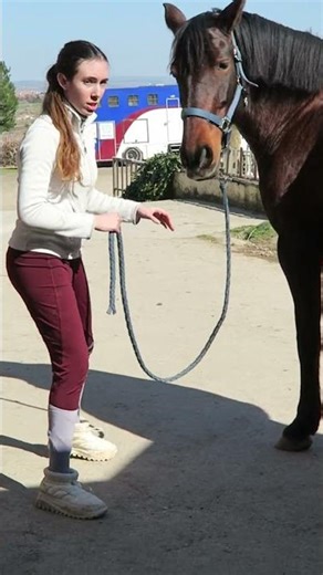 ¿Tú caballo tiene dolor?