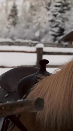 Sonnwies Dolomites on Instagram: "A gentle introduction to horseback riding.🌾 Tender moments and first connections define our approach to pony riding. Private lessons, accompanied by our experienced riding instructor, allow children to discover the farm in a calm and safe environment. Beyond riding, little hands are invited to brush, groom, and care for the ponies - nurturing respect, confidence, and a genuine bond with the animals. New equestrian experiences are set to enrich our offering this