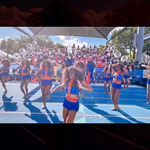 🌹✨Formation: @fmu_theroar_lionessence paying homage to #beyonce (💫Perfection💫) ________________________________________ I DO NOT OWN RIGHTS TO THIS MUSIC. NO COPYRIGHT INFRINGEMENT INTENDED. The video used copyrighted material in a manner that does not require approval of the copyright holder. They are DANCE VIDEOS for entertainment purposes only and it is a fair use under copyright law. Copyright: © ____________________________________ (©️) Copyright Notice: All rights are reserved to the re