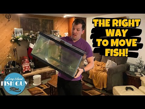 How to Move A FISH TANK! Moving my AQUARIUMS to my NEW APARTMENT!