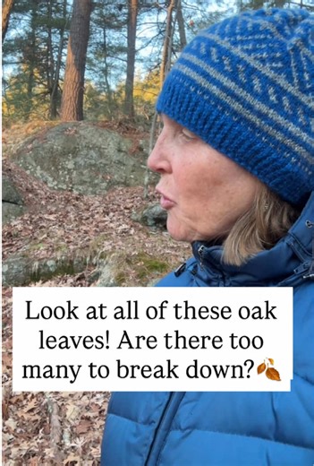 This topic is so nuanced. When I’m out in the woods I am always reminded of how no one is running around with yard waste bags or those big leaf vacuum machines and everythig works out just fine. But our yards are not natural areas so some adjustments may need to be made, depending on what we’ve planted there. Most of my plants can come up through a pile of leaves but I do remove some of them in certain areas, where I want to see small bulbs coming up or I’m worried about some things not being ab