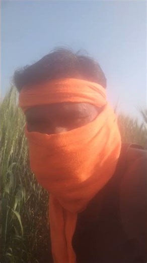 15 मार्च 2026