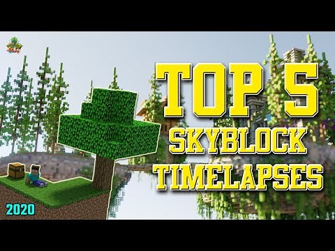 ✔ Minecraft: Top 5 Minecraft Skyblock Timelapses! (2022)