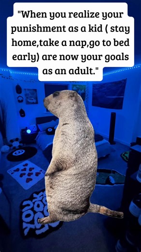 it’s all we want and need #Meme #MemeCut #fyp #grownup #viral