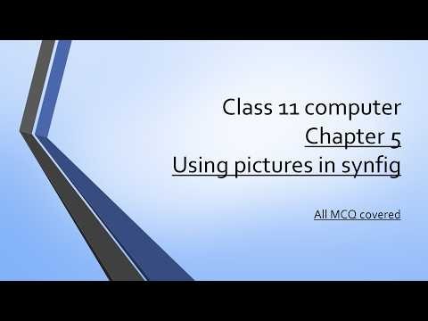 class 11 computer chapter 5 Using pictures in synfig | Complete MCQ