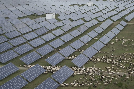 China races to build world's largest solar farm to meet emissions targets