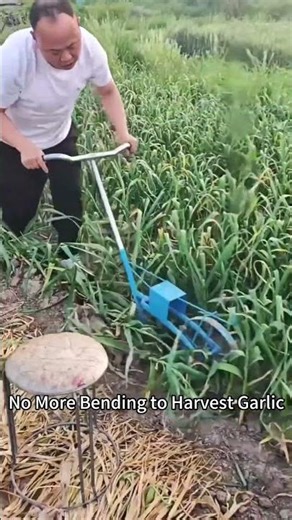 Adjustable Hand-Pushed Garlic Harvester: Fast & Easy Harvest