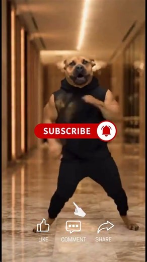 Don't watch this more than once 😅😅 Funny Dogs 😂🤣