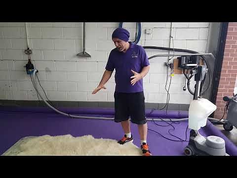 Sheepskin Rug Cleaning
