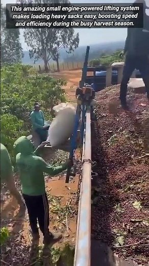 Amazing Small Engine Powered Lifting System Makes Loading Easy