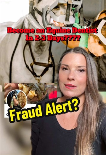 Become a Certified Non-Veterinary Equine Dentist