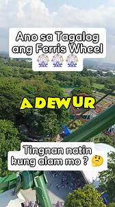 Anong Tagalog sa Ferris Wheel ? #ferriswheel #reelschallenge #challenge #quiz #brainexcercise #palaisipangpinoy | Palaisipang Pinoy