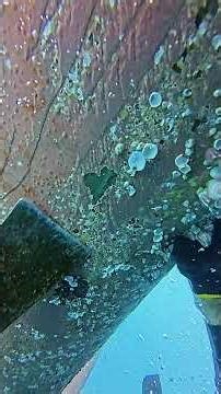 Scraping Big Barnacles on the Rudder. #workhard #dive #ship #mergulho #satisfyingvideo #asmr #buceo