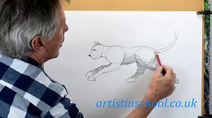 Draw a Cat running simply