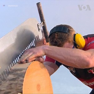 27M views · 278K reactions | Canadian Stirling Hart won the 2018 Timbersports Champions Trophy in Marseille on Saturday (May 26). Hart's time of 1 minute 3.40 seconds was enough to beat New Zealand's Jason Wynyard into second place, with Australia's Mitch Argent taking third. | Voice of America | Facebook