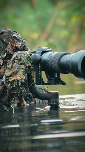 You Won’t Believe This Wildlife Moment 😱 #photography #wildlife #nature